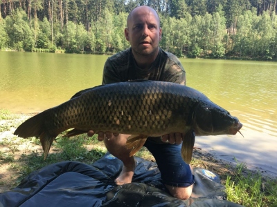 12,50 Kg